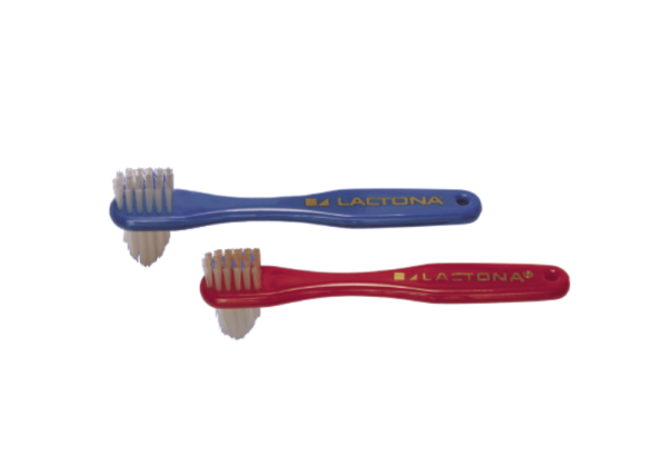 744013_denture_brush_no_packaging_800.png